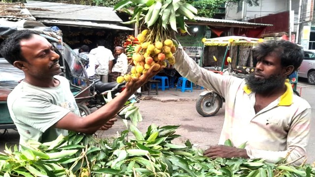 Bitter Prices for Sweet Litchis in Rajshahi Markets