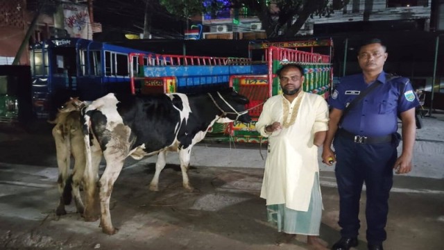 Jubo Dal Activist Held After Stolen Cattle Found Under House