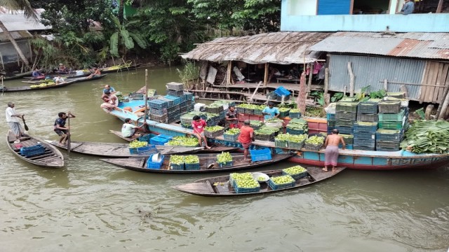 Authorities Ban Loud Music at Bhimruli Floating Guava Market in Jhalokathi