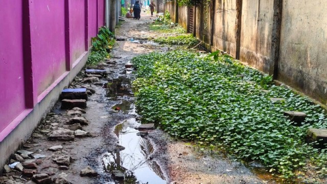 600-Metre Road in Rajapur Deteriorates, Waterlogging After Light Rain