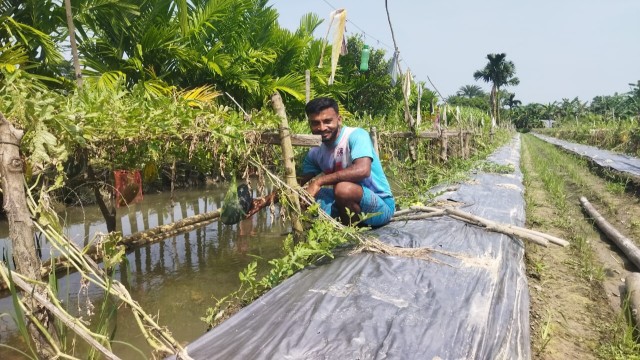 Off-Season Trellis Watermelon Farming Brings Success to Farmer in Jhalokathi