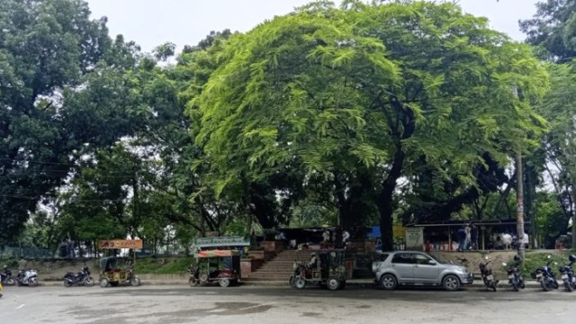 Rajshahi’s Shimla Park Declared Special Biodiversity Conservation Area