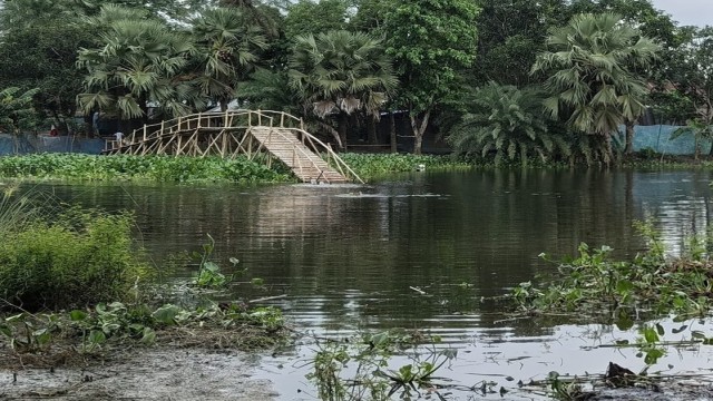 Over 70 Students Unable to Attend School for 5 Months Due to Lack of Bridge in Rajshahi