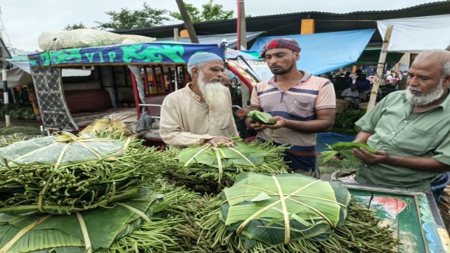 GI-Recognised Mohanpur Betel Leaf Trade Exceeds Tk 600 Crore