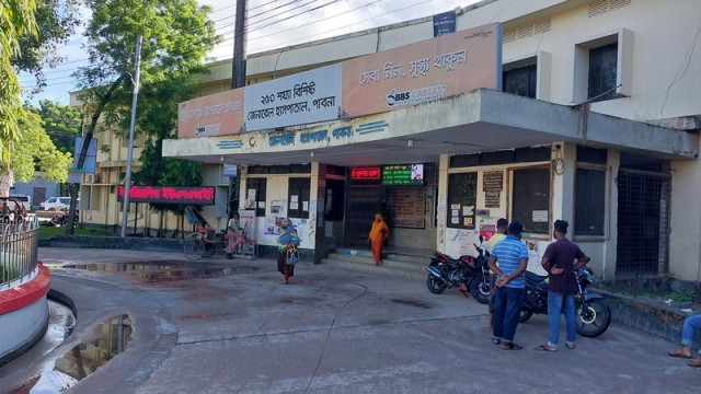 11 Injured, Including Women, Children in Stray Dog Attacks in Pabna