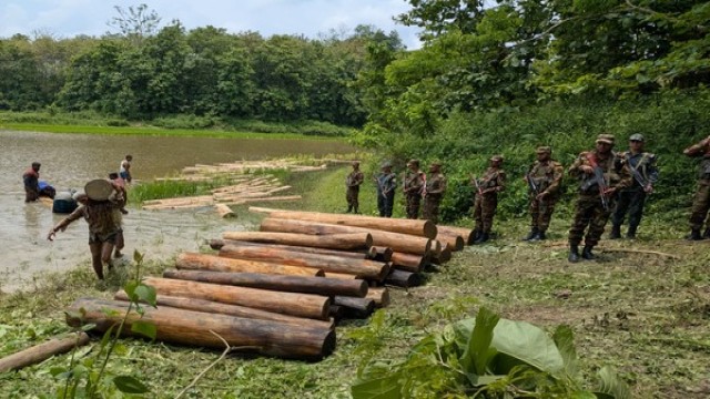 Bangladesh Army Recovers Stolen Logs Worth Tk 1.5 Million in Rangamati