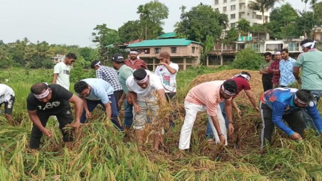 Chhatra Dal brings laughter to farmers' homes: In Rangamati