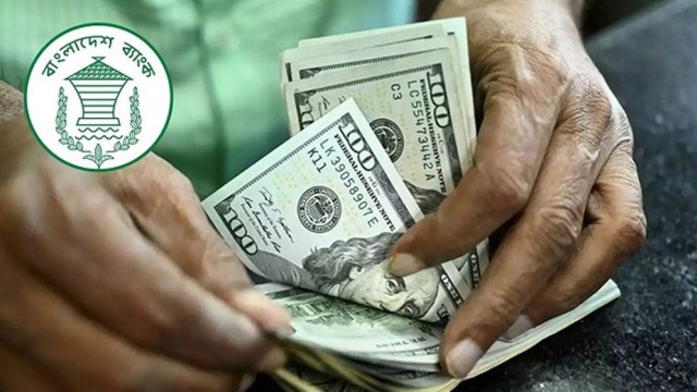 Remittance Inflows Reach $1.73 Billion in First 16 Days of June