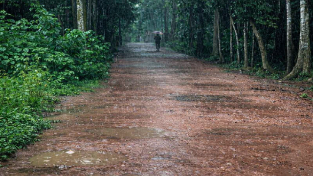 Dilapidated Sikderhat-Bhandaria road causes daily hardship for 25,000 locals