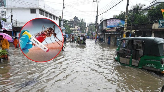 Dengue Cases Surge in Chittagong as Post-Rain Infections Rise