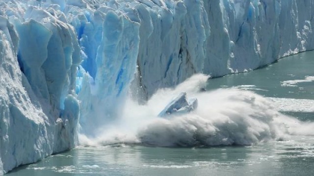 Sea-Level Rise Could Help Invasive Marine Species Spread, Study Warns