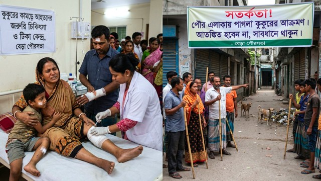 Stray Dog Attacks Leave 28 Injured in Pabna in 2 Days