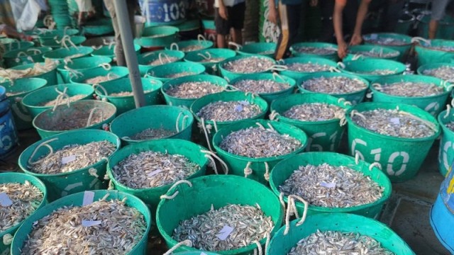 Kaptai Lake Reopens for Fishing After 3-Month Ban, Fishermen Await Bigger Catch