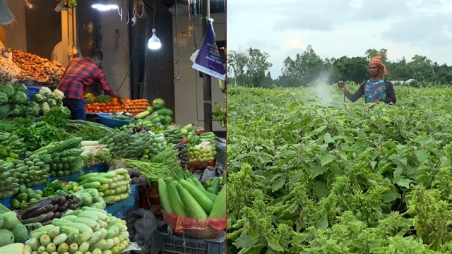 Pesticide Residues, Heavy Metals Raise Concerns Over Vegetable Safety