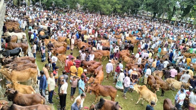 Bangladesh Bank Orders Fake Note Detection Booths at Cattle Markets Ahead of Eid