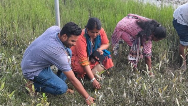 World Environment Day Celebrated in Mongla: 35,000 Mangrove Saplings Planted to Protect Coastlines