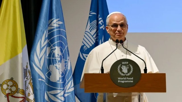 Pope Leo XIV Criticizes 'Bureaucratisation of Solidarity
