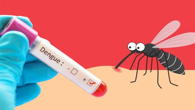 Two More Die of Dengue; 157 New Patients Hospitalized Nationwide