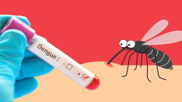 756 fresh dengue cases recorded in 24 hours