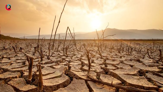 UN Warns Strong El Niño Developing, Raising Risk of Extreme Weather Worldwide