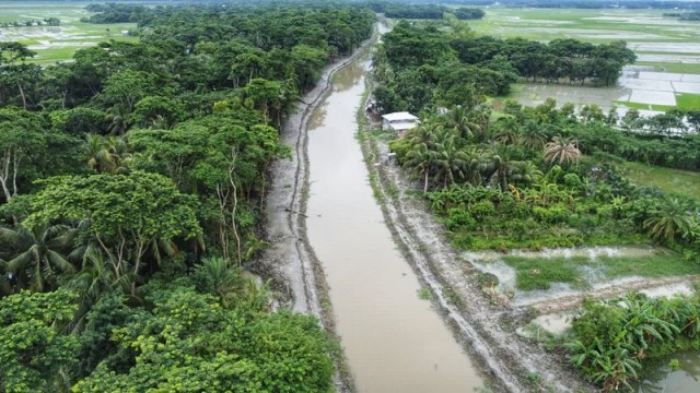 5,Km Canal Re-excavation Opens New Prospects for Agriculture in Barguna