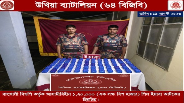 BGB, RAB Seize 7.72 Lakh Yaba Tablets, One Held in Teknaf