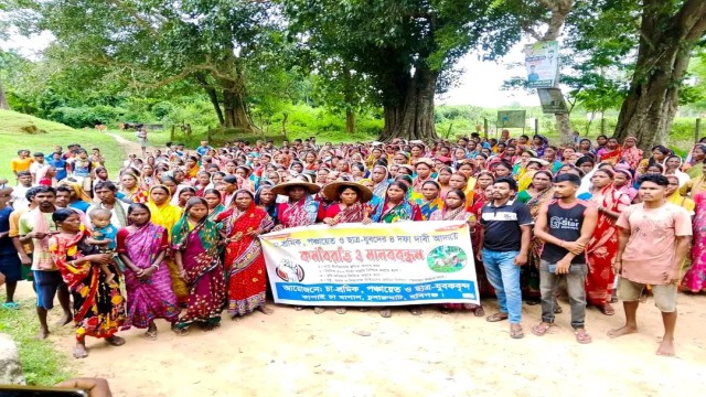 Tea Workers Demand Tk 500 Daily Wage, Continue Work Stoppage