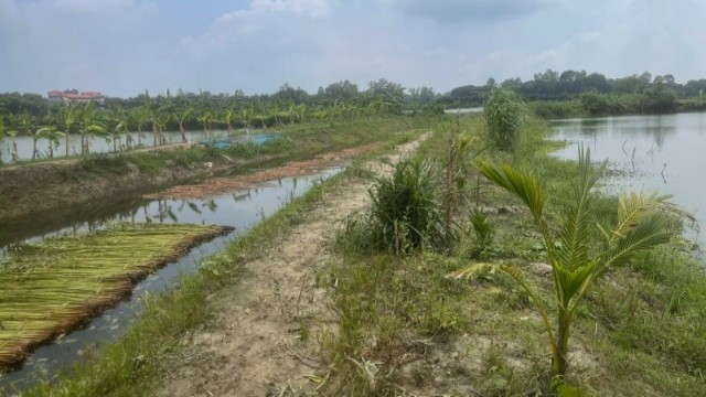 7-Km Canal Re-excavation Brings Benefits to Agriculture in Bagmara