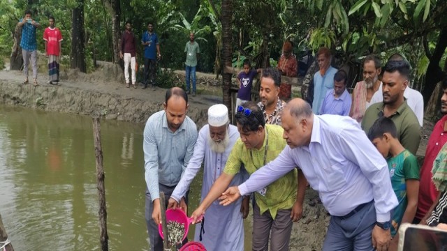Over 4 lakh Fish Fingerlings Released in 113 Pounds in Barguna