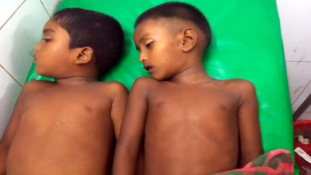 Two Children Drown in Pond in Chatmohar
