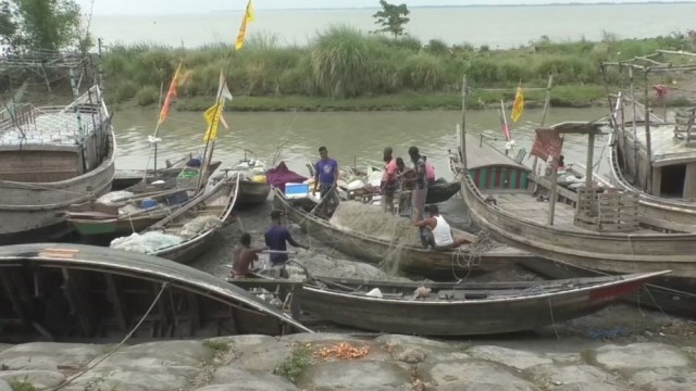Hilsa Fishing Resumes in Six Districts After Two-Month Ban
