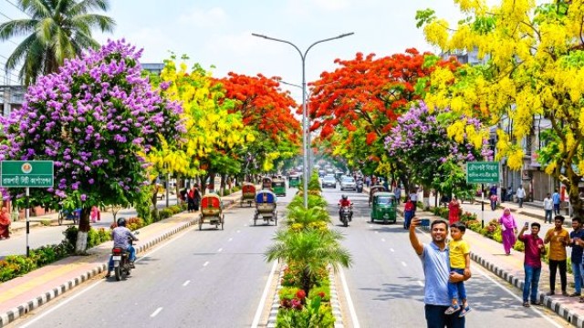 Rajshahi’s Roads Bloom in Summer Colors