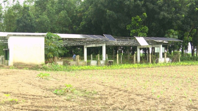 Solar Irrigation Project in Pabna Left Idle After Equipment Theft
