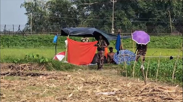 BSF Allegedly Attempts Push-In at Kurigram Border, Nine People Still at Zero Line