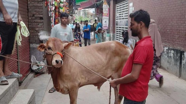 Sacrificial Activities Continue on Second Day of Eid-ul-Azha