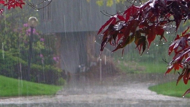 Rain, thundershowers likely across Bangladesh for next 3 days