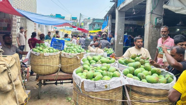 Mango Season Begins in Satkhira; Early Varieties Hit the Market