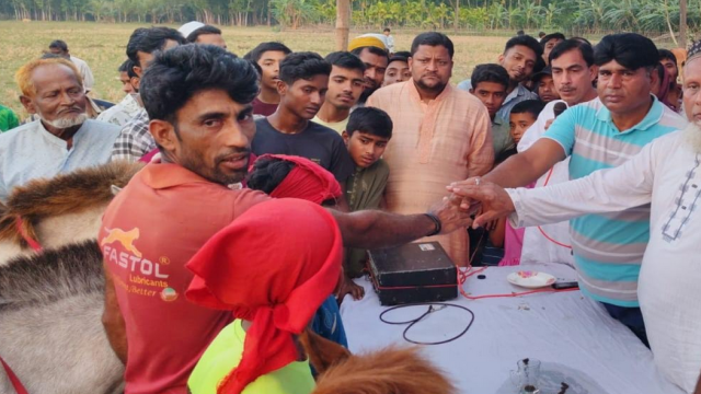 Traditional horse racing held in Kachua, Kanthalia