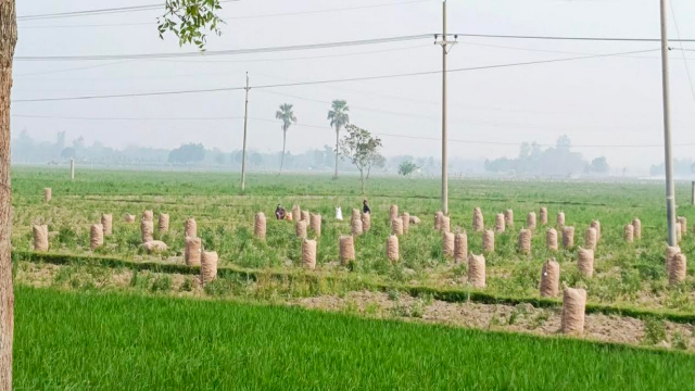 PM Tarique Rahman Named in TIME’s 100 Most Influential People of 2026