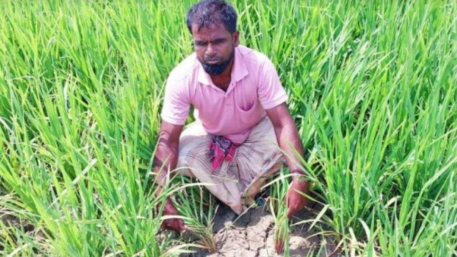 SSC Candidates in Rajshahi Struggle Amid 15-Hour Power Cuts