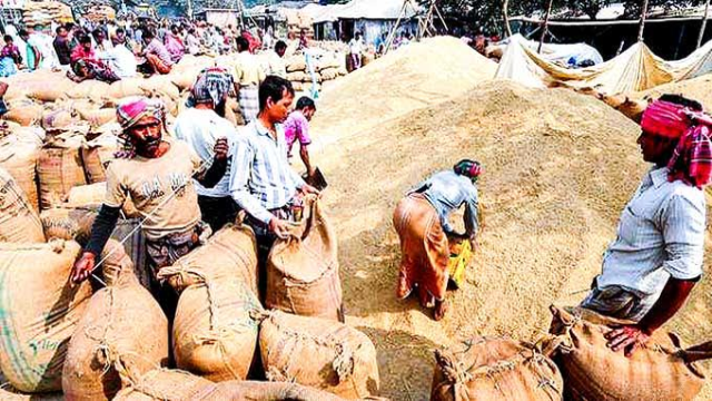 Rice prices drop farmers and traders in crisis
