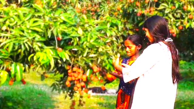 Unique initiative of agriculturist Shamim In Santhia upazila’s