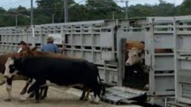 Bangladesh Railway Launches Special Cattle Trains Ahead of Eid-ul-Azha