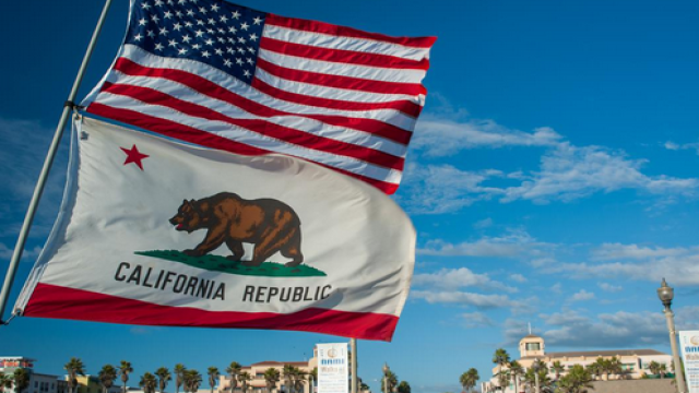 Californians Vote in Free-for-All 'Jungle Primary' for Governor