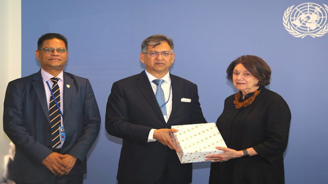 Home Minister Urges Stronger Global Support for Rohingya Repatriation