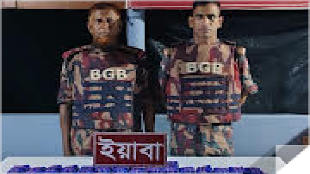 BGB Seizes 2.5 Lakh Yaba Pills in Naf River Anti-Smuggling Operation