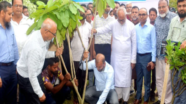 State Minister Stresses Tree Maintenance, Bans Wood-Burning Brick Kilns