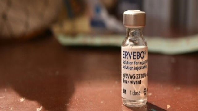 WHO Experts Recommend Full-Scale Trial of Ebola Vaccine for Cross-Strain Protection