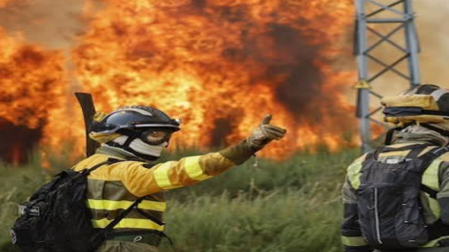 Over 275 Firefighters Battle Wildfire in Southern Spain Amid Challenging Conditions