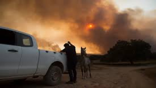 Wildfire in Southern Spain Prompts Evacuation of 470 as Blaze Remains Active